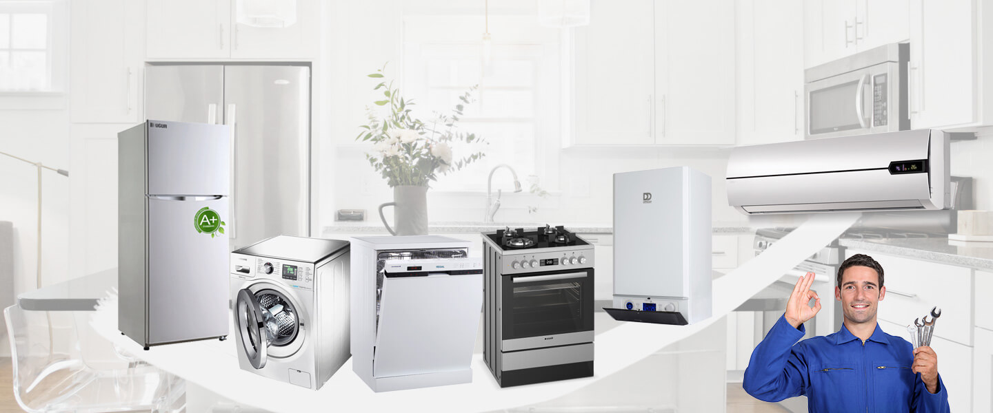Hopa Warmhaus Servisi